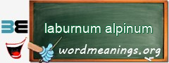 WordMeaning blackboard for laburnum alpinum